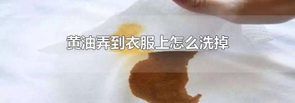 黄油弄到衣服上怎么洗掉