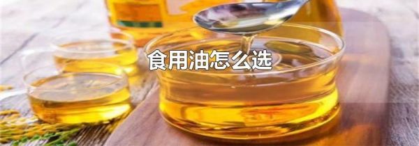 食用油怎么选