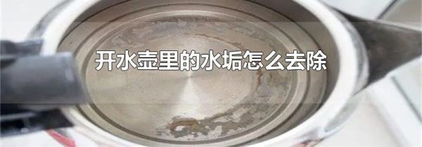开水壶里的水垢怎么去除