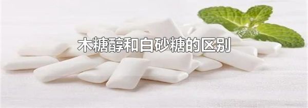 木糖醇和白砂糖的区别