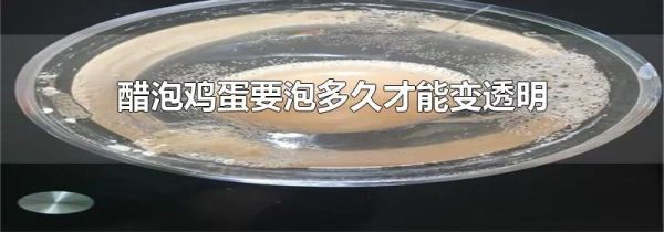醋泡鸡蛋要泡多久才能变透明