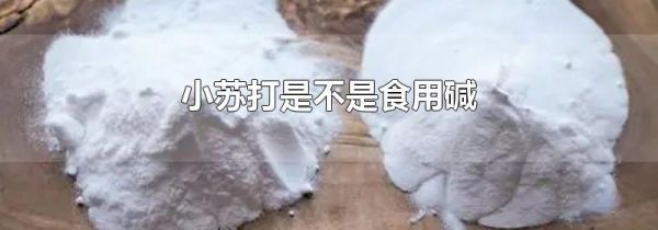 小苏打是不是食用碱