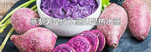 蒸紫薯是冷水蒸还是热水蒸