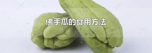 佛手瓜的食用方法
