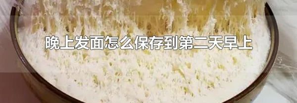 晚上发面怎么保存到第二天早上