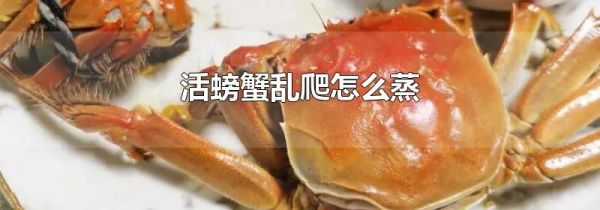活螃蟹乱爬怎么蒸