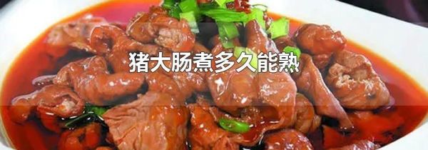 猪大肠煮多久能熟