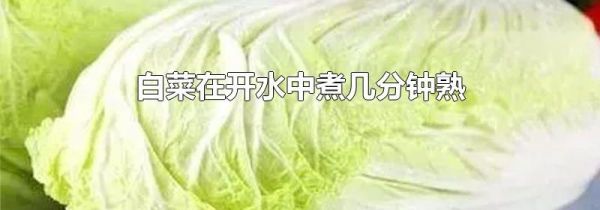 白菜在开水中煮几分钟熟