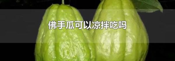 佛手瓜可以凉拌吃吗