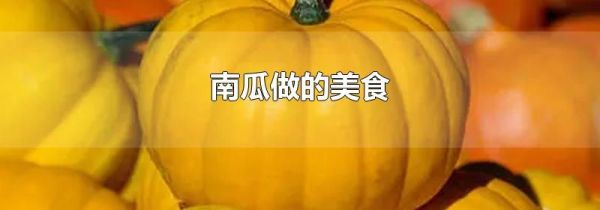 南瓜做的美食