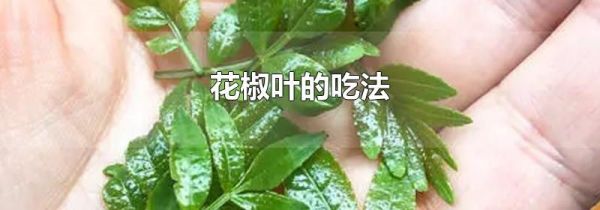 花椒叶的吃法