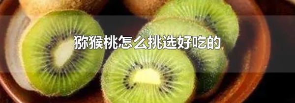 猕猴桃怎么挑选好吃的