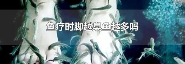 鱼疗时脚越臭鱼越多吗