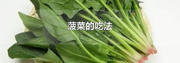 菠菜的吃法