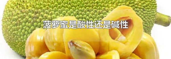 菠萝蜜是酸性还是碱性