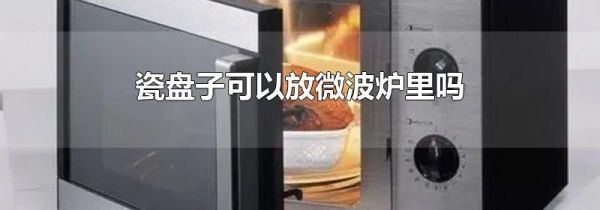 瓷盘子可以放微波炉里吗