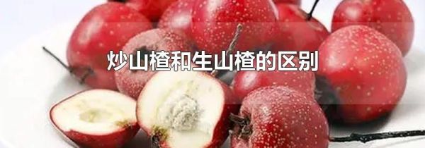 炒山楂和生山楂的区别