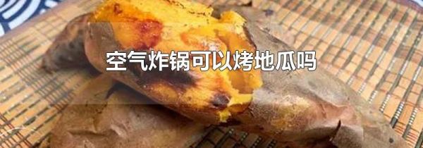 空气炸锅可以烤地瓜吗