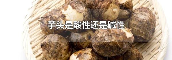 芋头是酸性还是碱性