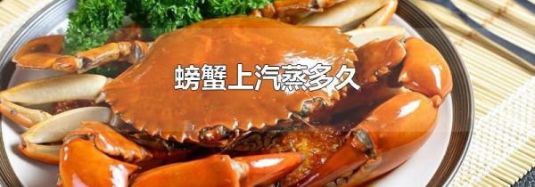 螃蟹上汽蒸多久