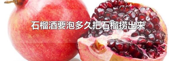 石榴酒要泡多久把石榴捞出来