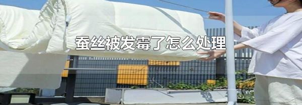 蚕丝被发霉了怎么处理