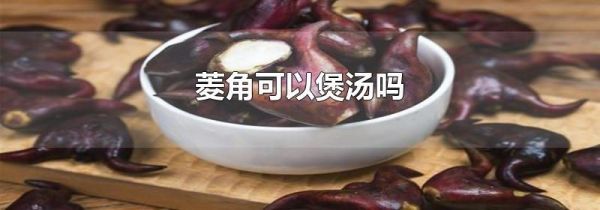 菱角可以煲汤吗