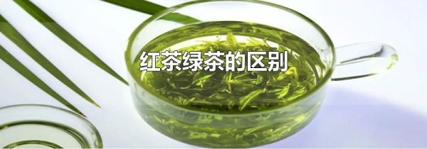 红茶绿茶的区别