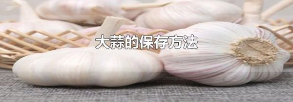 大蒜的保存方法