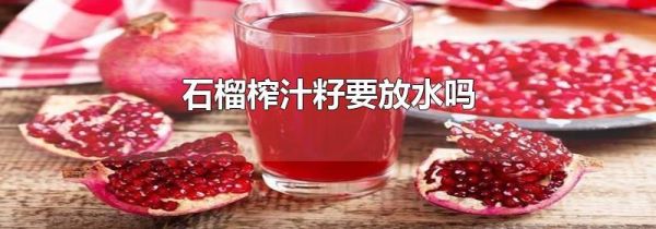 石榴榨汁籽要放水吗