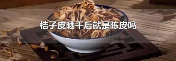 桔子皮晒干后就是陈皮吗