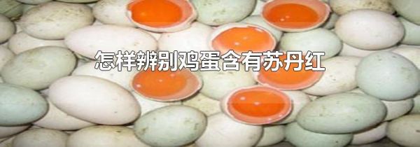 怎样辨别鸡蛋含有苏丹红