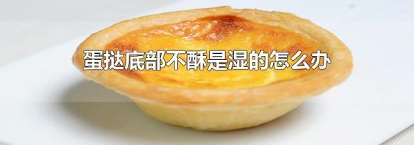 蛋挞底部不酥是湿的怎么办