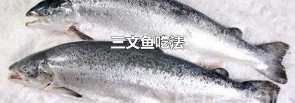 三文鱼吃法