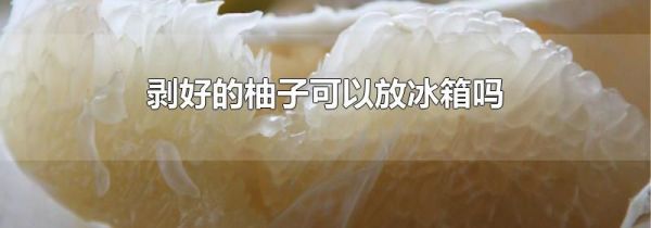剥好的柚子可以放冰箱吗