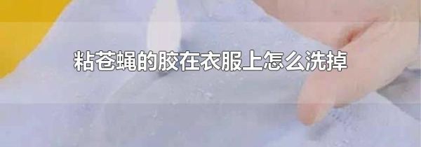 粘苍蝇的胶在衣服上怎么洗掉