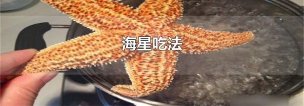 海星吃法