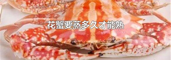花蟹要蒸多久才能熟