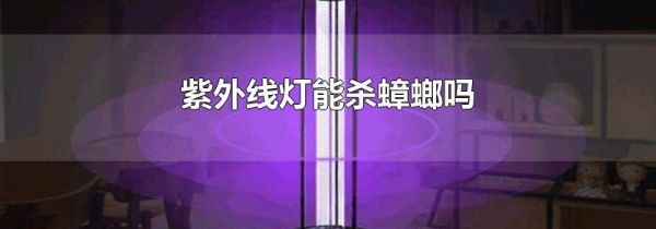 紫外线灯能杀蟑螂吗