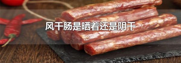 风干肠是晒着还是阴干