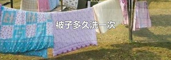 被子多久洗一次