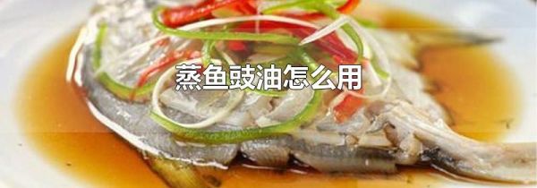 蒸鱼豉油怎么用