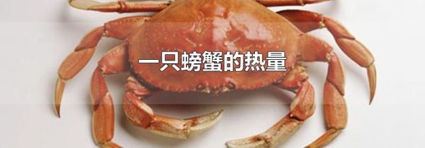 一只螃蟹的热量