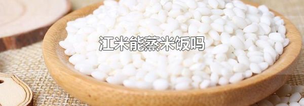 江米能蒸米饭吗
