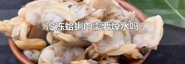 冷冻蛤蜊肉需要焯水吗
