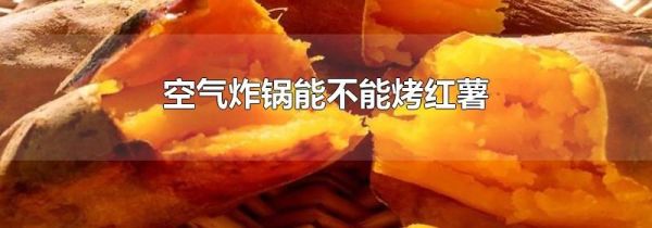 空气炸锅能不能烤红薯