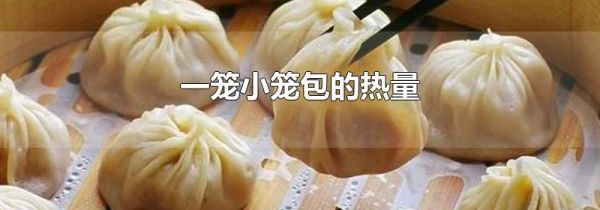 一笼小笼包的热量