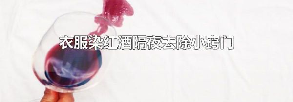 衣服染红酒隔夜去除小窍门