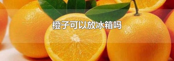 橙子可以放冰箱吗