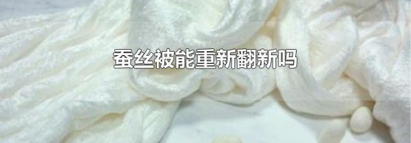蚕丝被能重新翻新吗